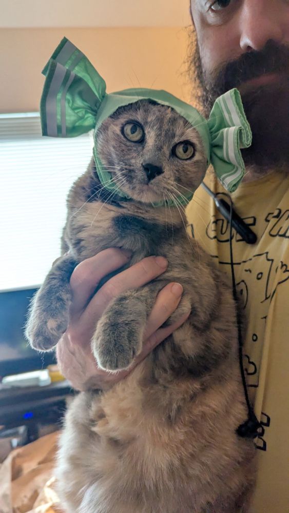 Tortie brown and beige cat being held by a man in a yellow shirt wearing a green hat that looks like a candy wrapper.