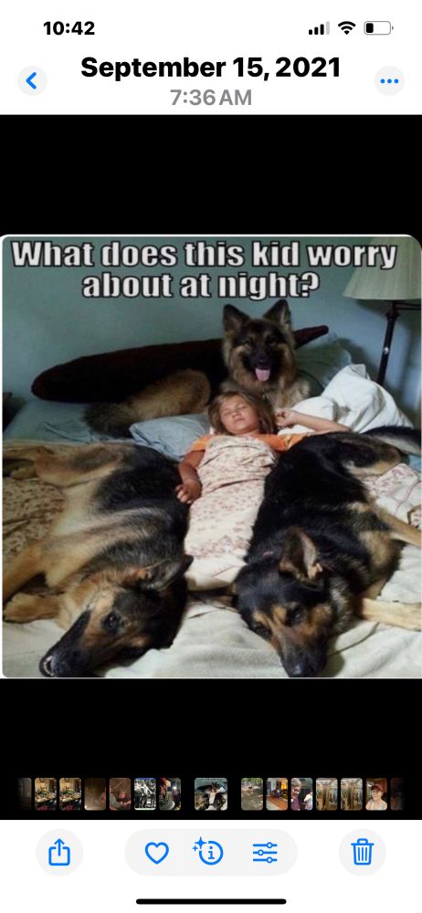 What does this kid worry about at night? With a photo of a girl sleeping surrounded by 3 German Shepherds.
