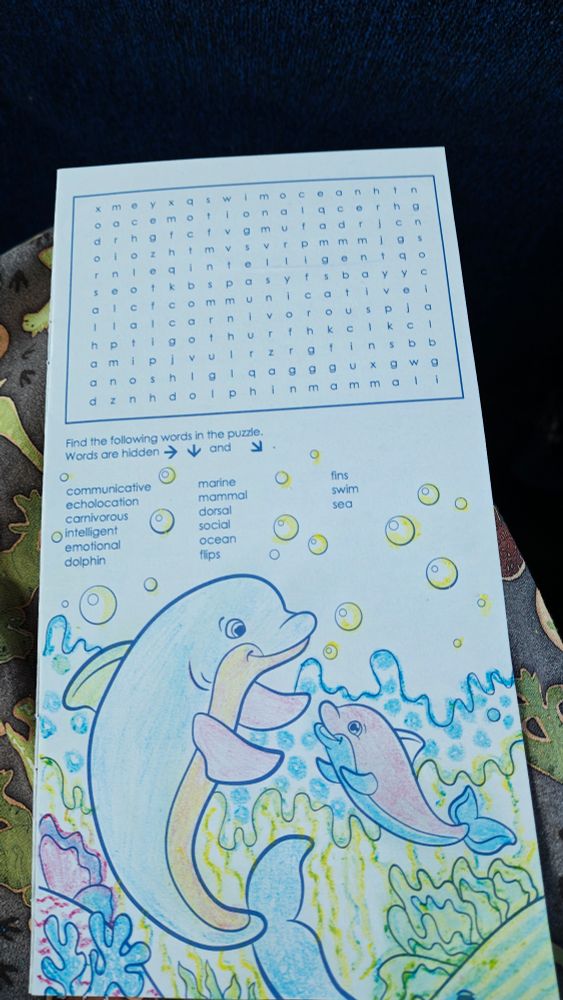 A colored coloring page of a baby dolphin and an adult dolphin! Above this is an undone word search. 