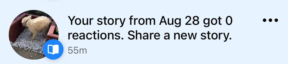 Facebook notification:

Your story from Aug 28 got 0 reactions. Share a new story.