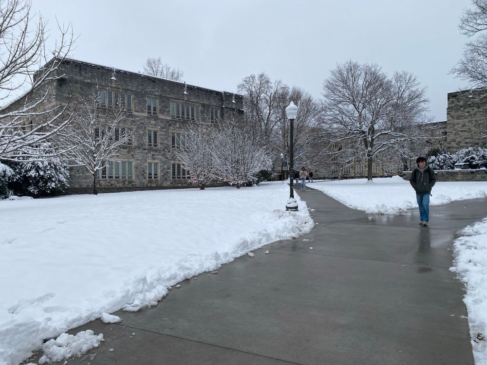 A student walks along a shoveled sidewalk with snow packed on the edges and snowy trees in the background 