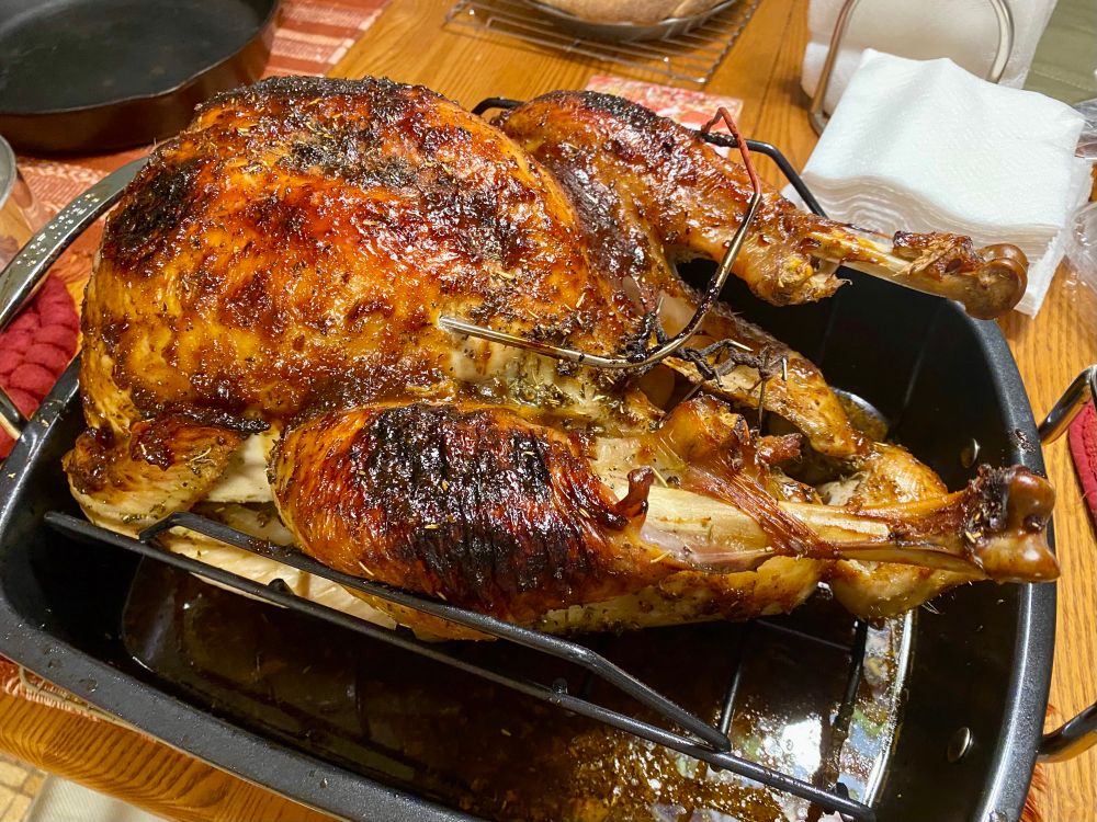 A roasted turkey with brown skin in the roasting pan right out of the oven 