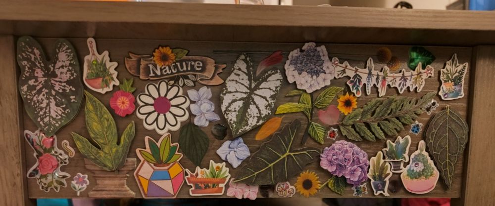An array of stickers on a coffee table. Stickers are nature themed including leaves, plants, sunflowers, bugs, and flowers.