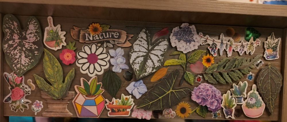 An array of stickers on a coffee table. Stickers are nature themed including leaves, plants, sunflowers, bugs, and flowers.