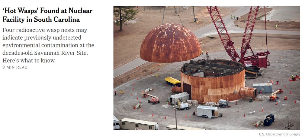 HOT WASPS FOUND AT SC NUCLEAR RIVER SITE