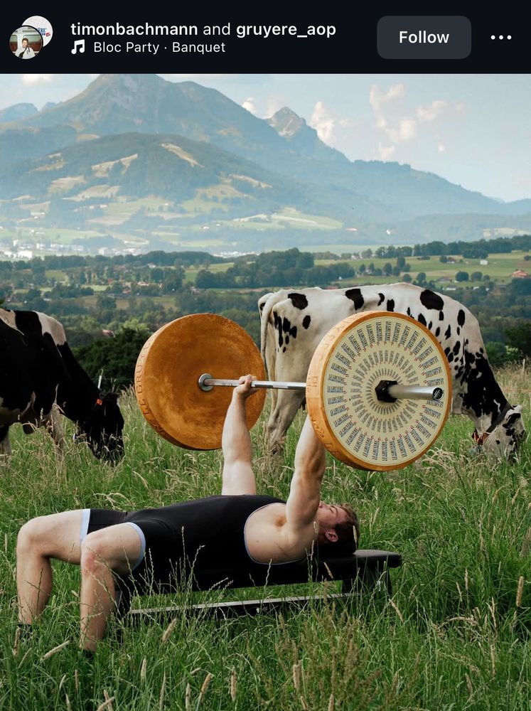 A man bench pressing two huge wheels of Gruyère in a field in Switzerland 