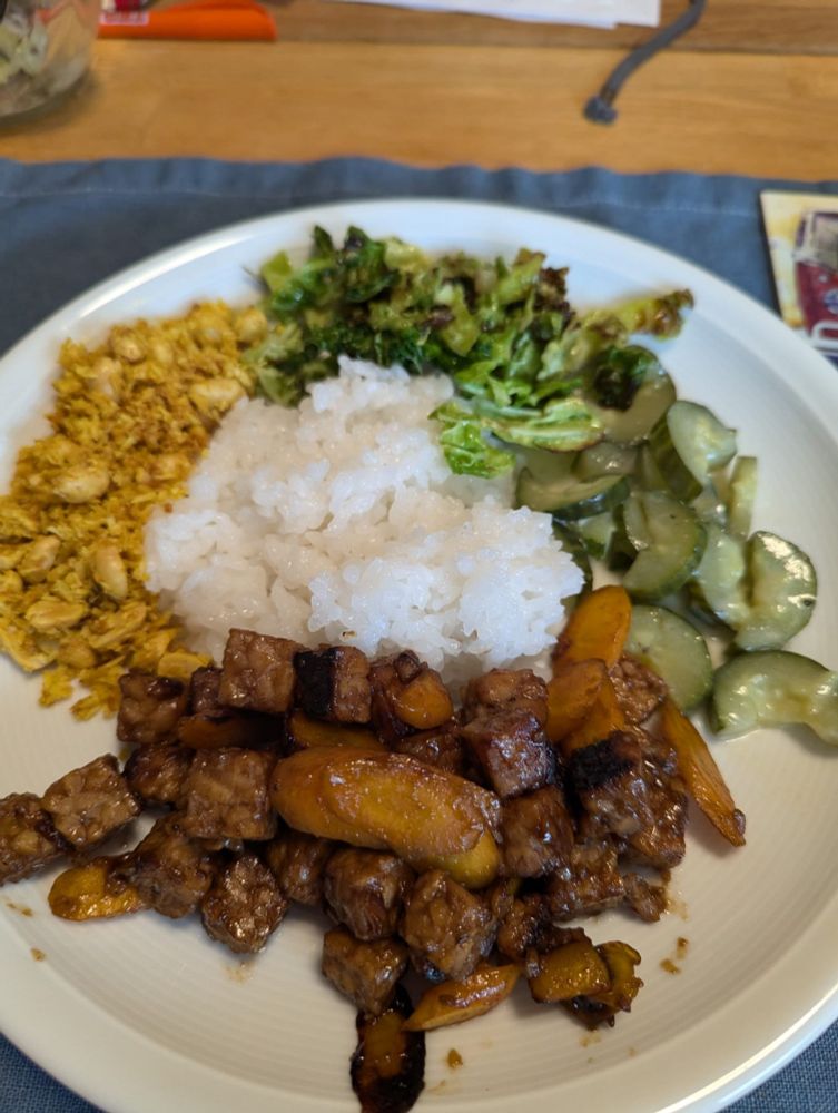 Teller mit Reis in der Mitte, dazu lauwarmer Gurkensalat, Tempeh Ketjap mit Möhren, Kokos-Erdnuss-Kurkuma Topping und gebratenem Wirsing. Ohne Sambal, das ist uns nämlich eh zu scharf.