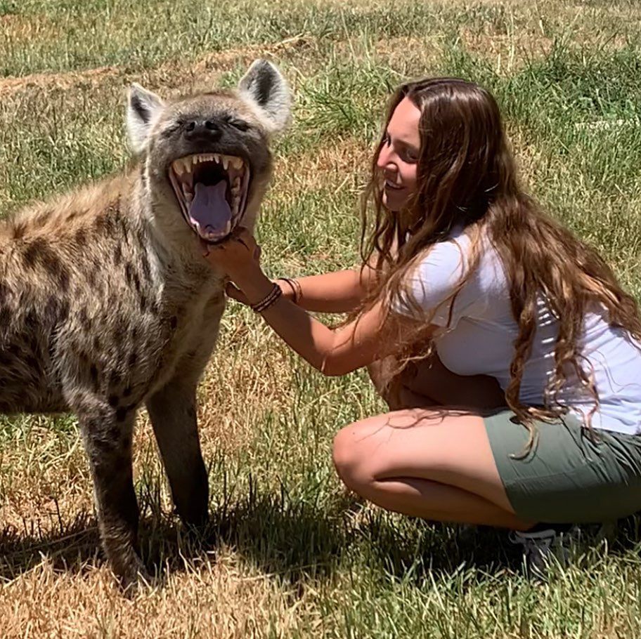 Image of Yeens