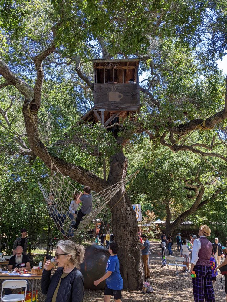 A tree house about 20 feet up in a huge old oak tree, with a cargo net strung sort of beneath it. 