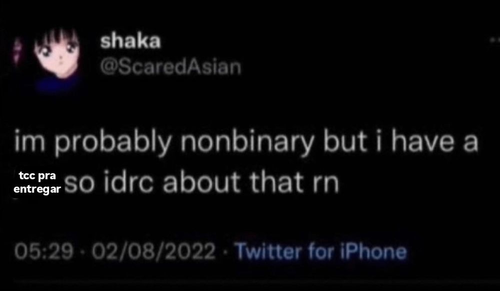 im probably nonbinary but i have a tcc pra entregar so idrc about that rn