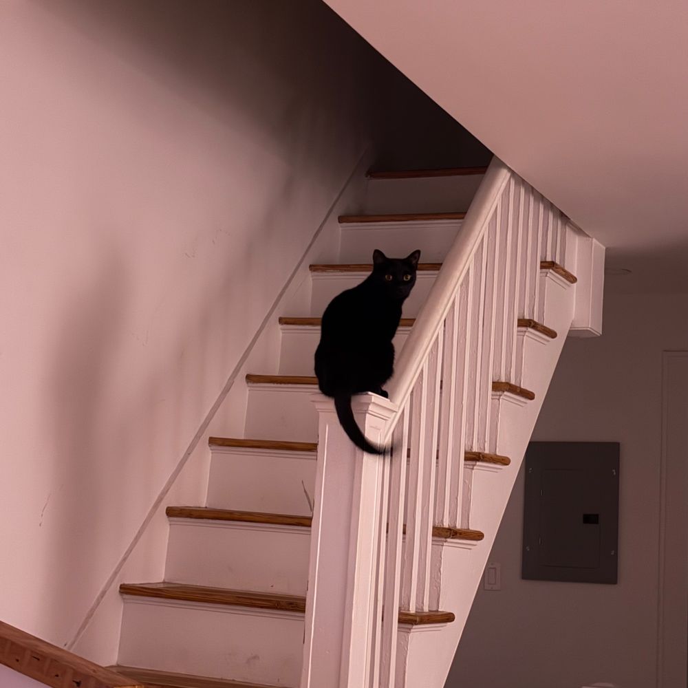 A black cat sitting on a railing