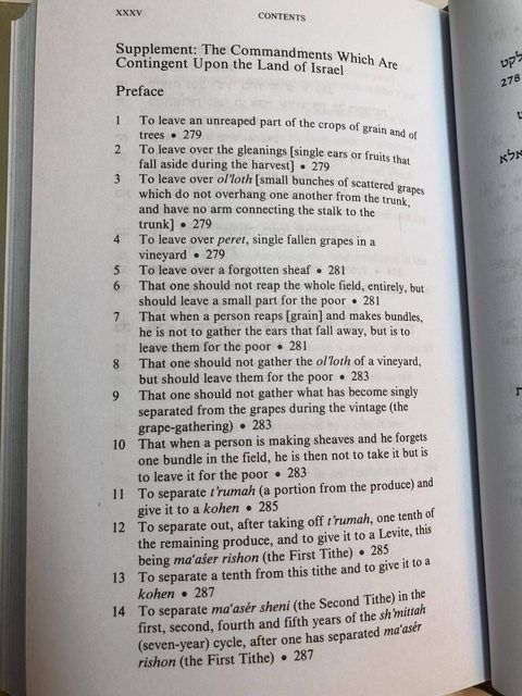 A photograph of an English-language book on Jewish religious law (halacha), intended for Orthodox/observant Jews, listing the mitzvot (religious commandments) that cannot be performed outside Israel according to halacha. This is included to provide background on why Jewish religious practices must be accommodated, and to give the layperson some slight idea of how place-based Judaism is. 
