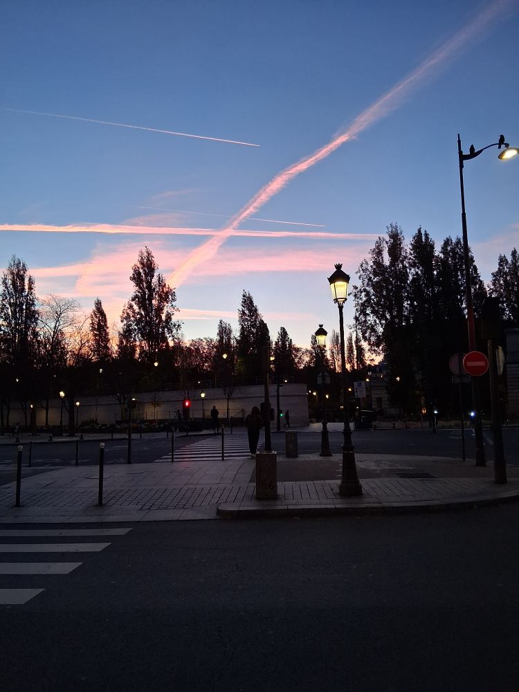 Lever du jour avec des couleurs roses bleues. Des lampadaires sont allumés. Vue sur la chaussée. 