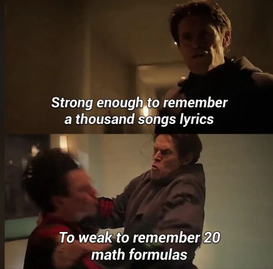 meme - "Strong enough to remember a thousand song lyrics" image of a man. "Too weak to remember 20 math formulas" image of man getting punched.