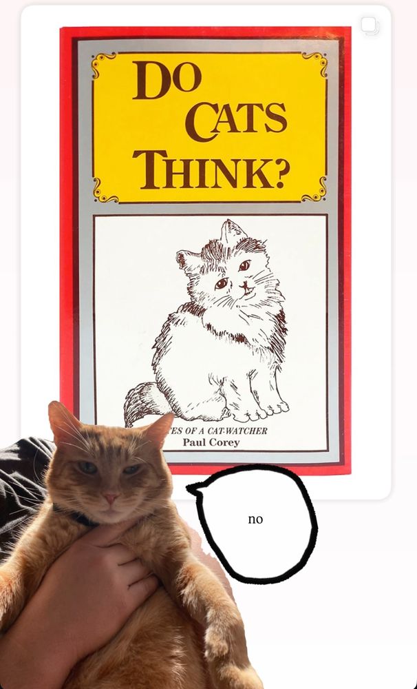 Photo of a book that asks “do cats think?” Underneath is a photo of my orange cat saying “no.” My cat is very orange and dumb. He is a very fuzzy little dullard unlikely to take a wife.