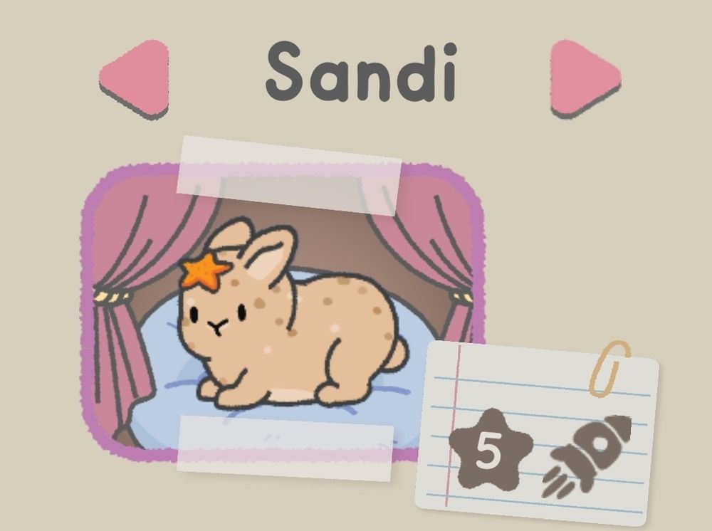 Sandi, a bunny whose pattern looks like sand & wearing a star