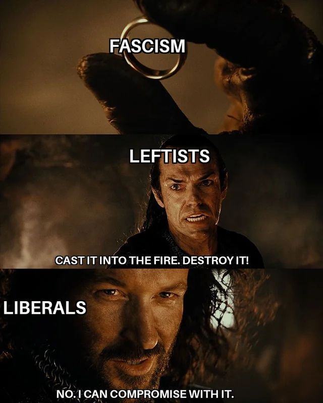 A series of stills from Lord of the Rings:

First Panel: The One Ring, labeled Fascism
Second Panel: with a desperate Elrond labeled Leftists screams
"CAST IT INTO THE FIRE. DESTROY IT!"
Third Panel:A smug Isildur labeled Liberals states
"NO. I CAN COMPROMISE WITH IT."