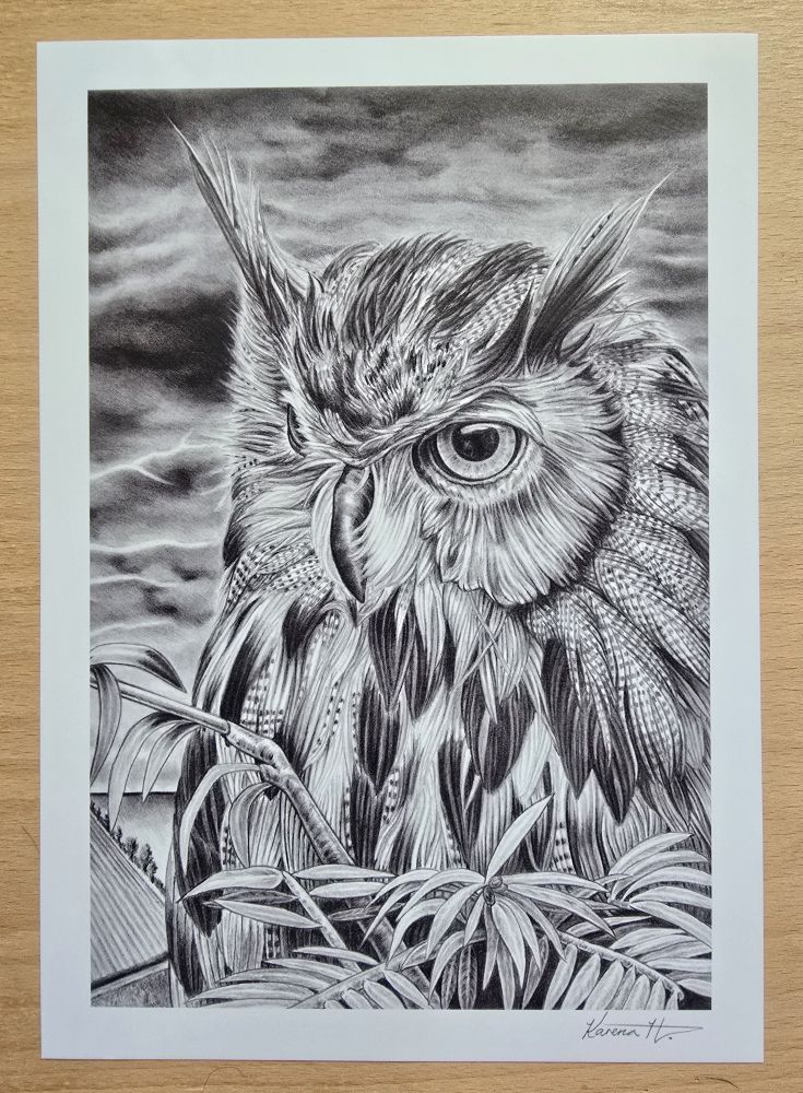 Print of a pencil drawing of a long eared owl. Lightning is lighting up the night sky in the background. In the bottom right is the signature Karena H. 