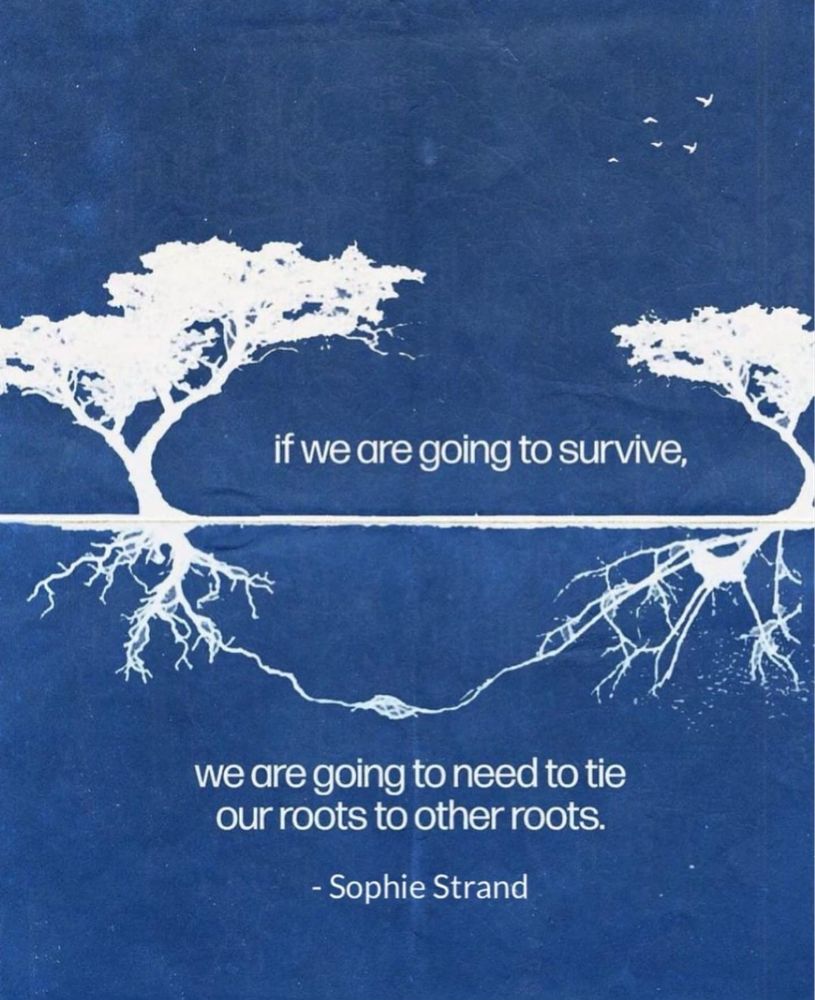 A picture of two trees with roots growing to whether under the ground that says “if we are going to survive we are going to need to tie our roots to other roots”