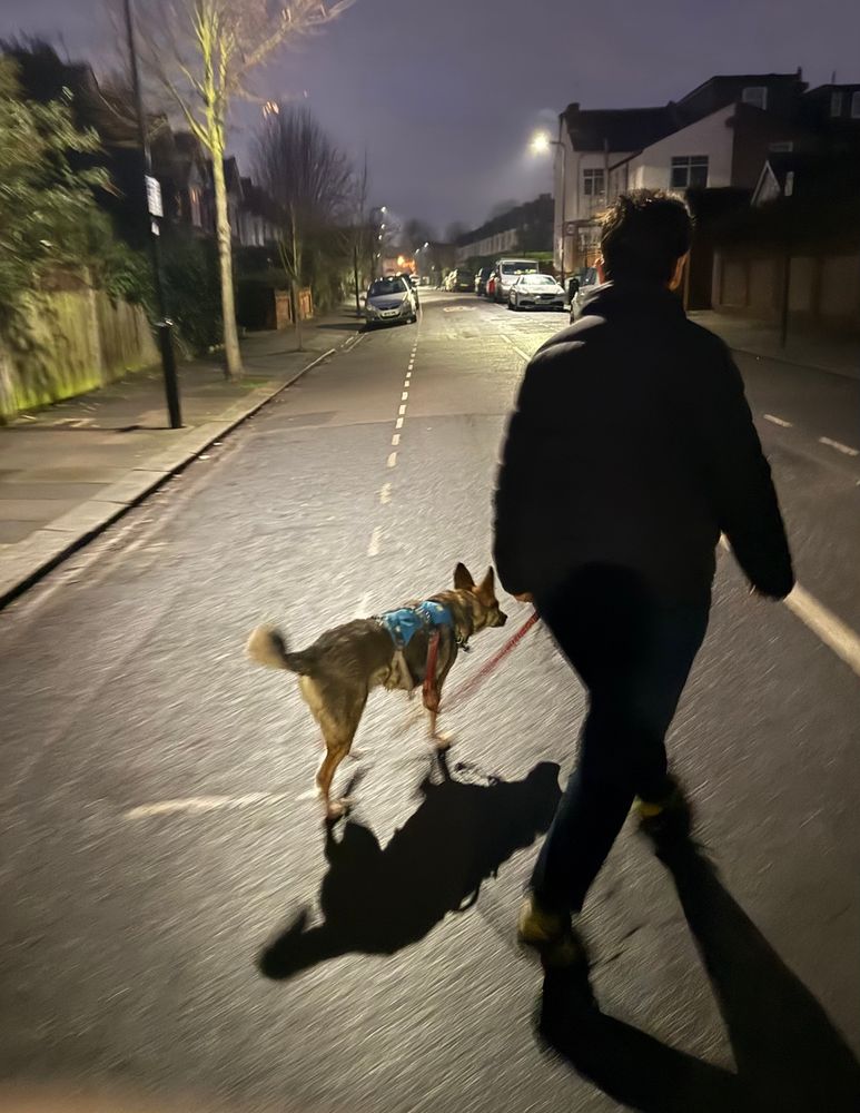 Post image (had no alt text on Bluesky)