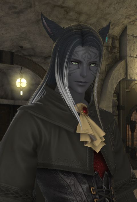 Screenshot of a miqo'te WoL from ffxiv. He's got dark grey skin with tiger stripe facial markings and long black hair with white tips. 