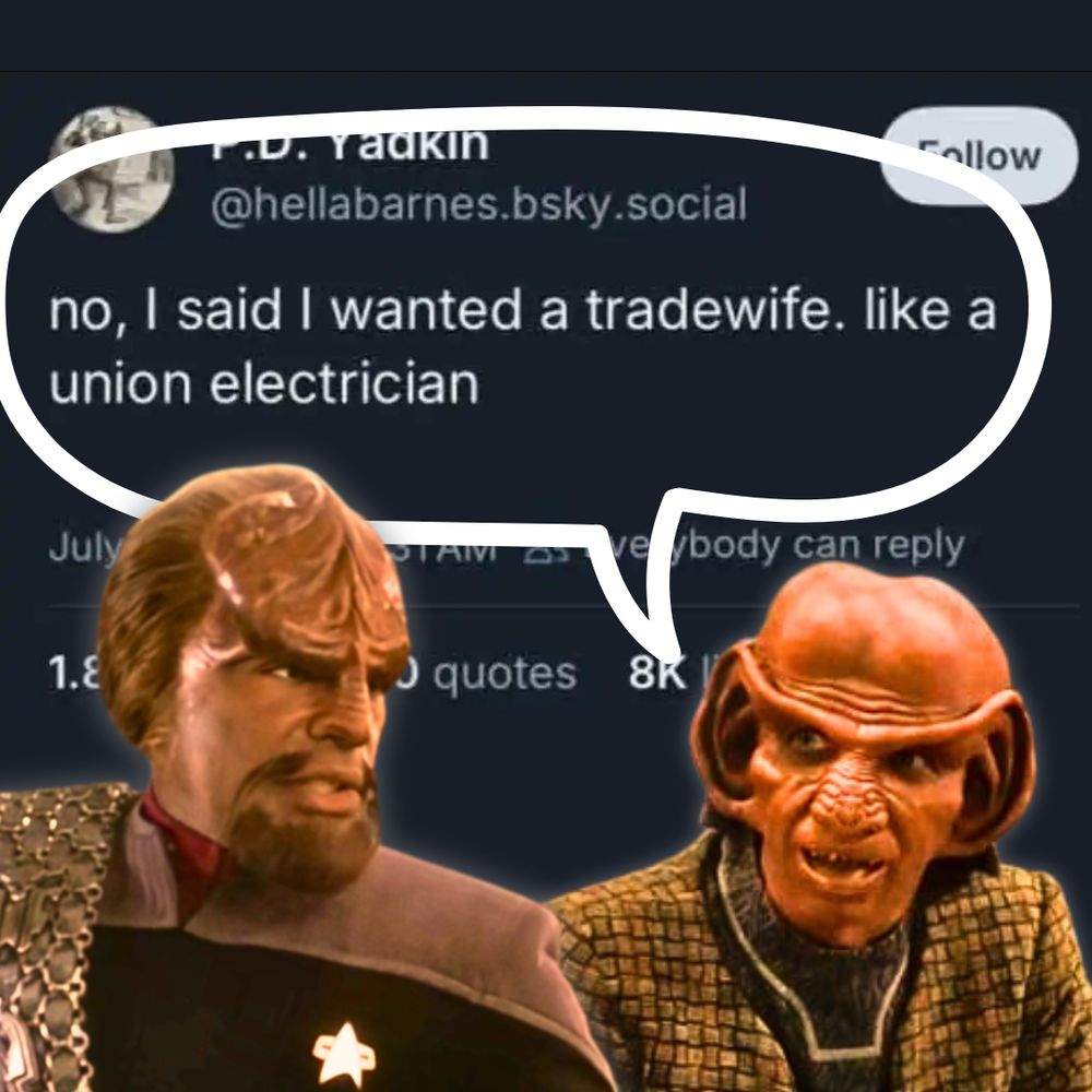image of rom and worf from star trek: deep space nine. indicated by a speech bubble, rom is stating a post from @hellabarnes.bsky.social: "no, I said I wanted a tradewife. like a union electrician"
worf is looking at him with a slightly confused expression