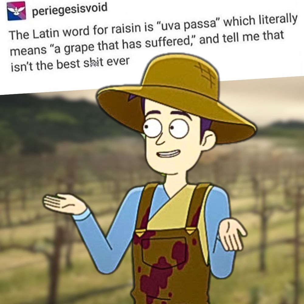 post from periegesisvoid: "the latin word for raisin is 'uva passa' which literally means 'a grape that has suffered,' and tell me that isn't the best shit ever" 
image of brad boimler in his vineyard hat and overalls