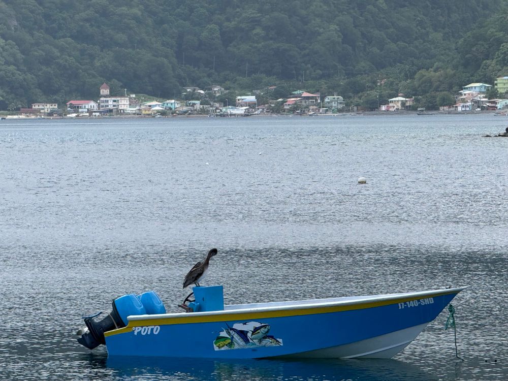 Caribbean Sea with small town in background, a blue boat with a heron on it.