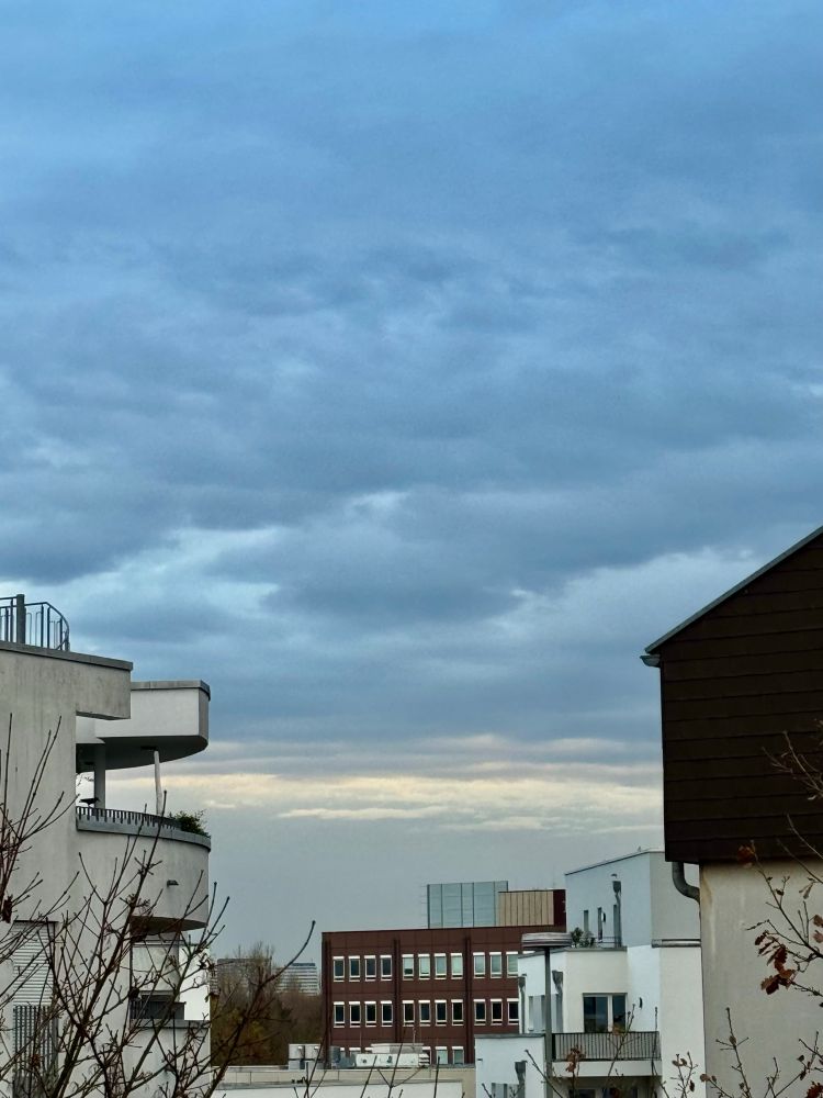 Blick in den Morgenhimmel 