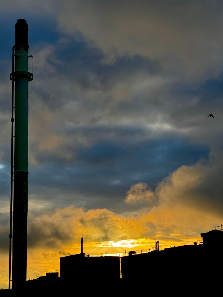 Blick zur aufgehenden Sonne 