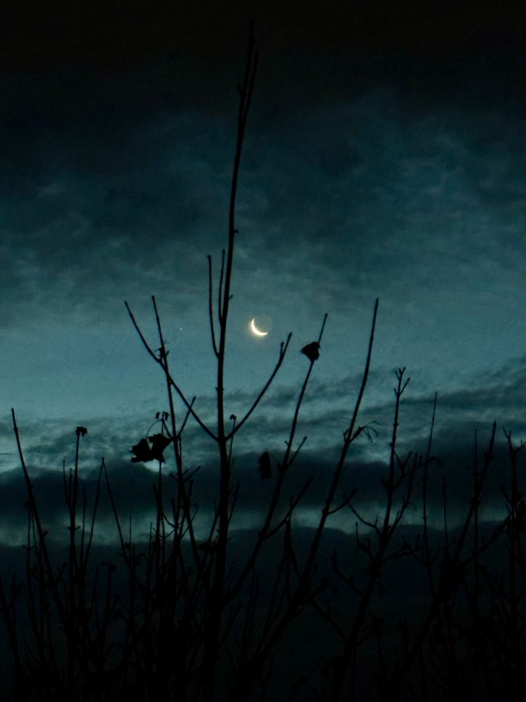 Blick in den Morgenhimmel 