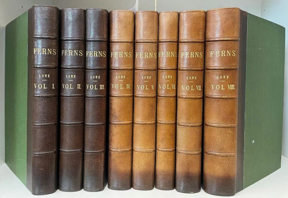 eight leatherbound books all titled "FERNS" volumes 1 through 8