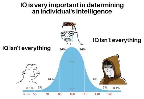 The iq bell curve meme where the idiot and genius are in agreement, the agreement being that iq tests are garbage