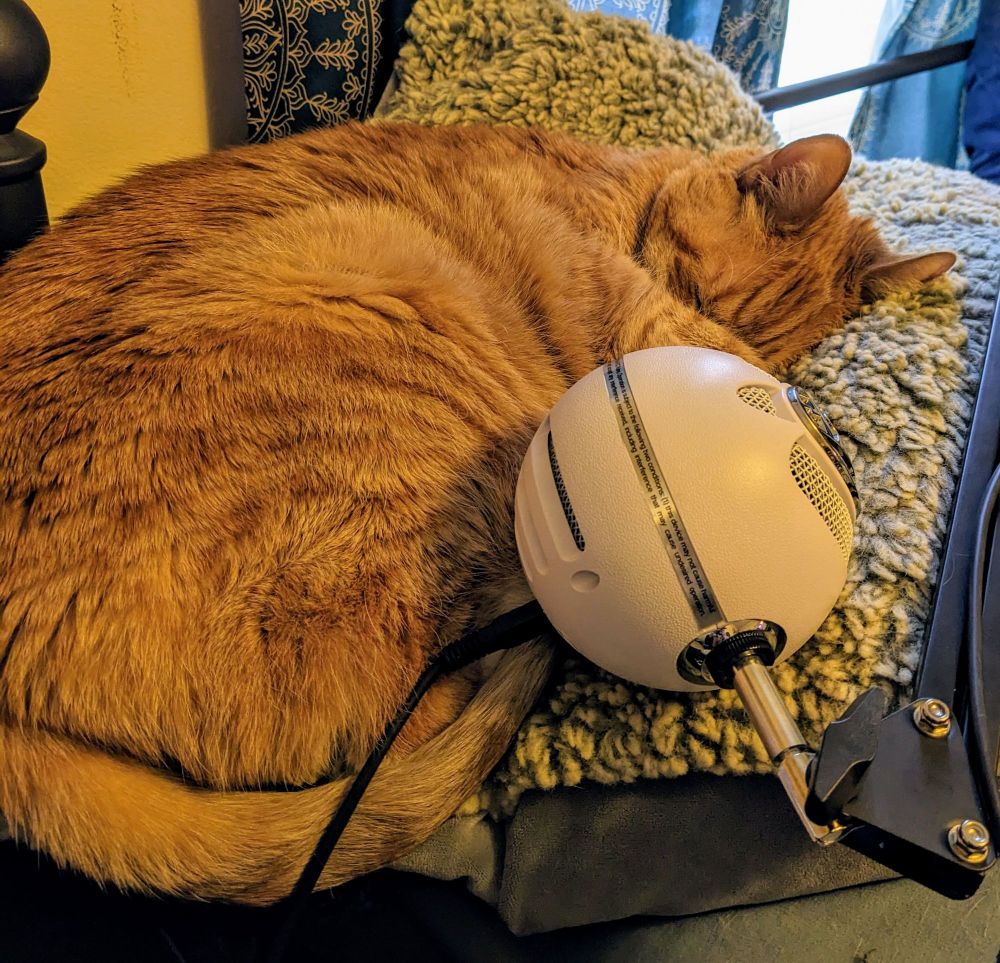 Photo of a large orange tabby cat curled up asleep near a Snowball microphone. 