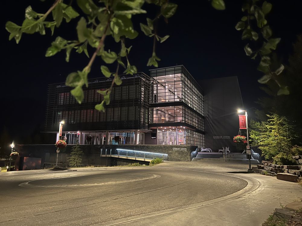 In the dark, a sweep of driveway curves toward a lit up building with many square feet of glowing glass. Conifer branches hang over the foreground.  