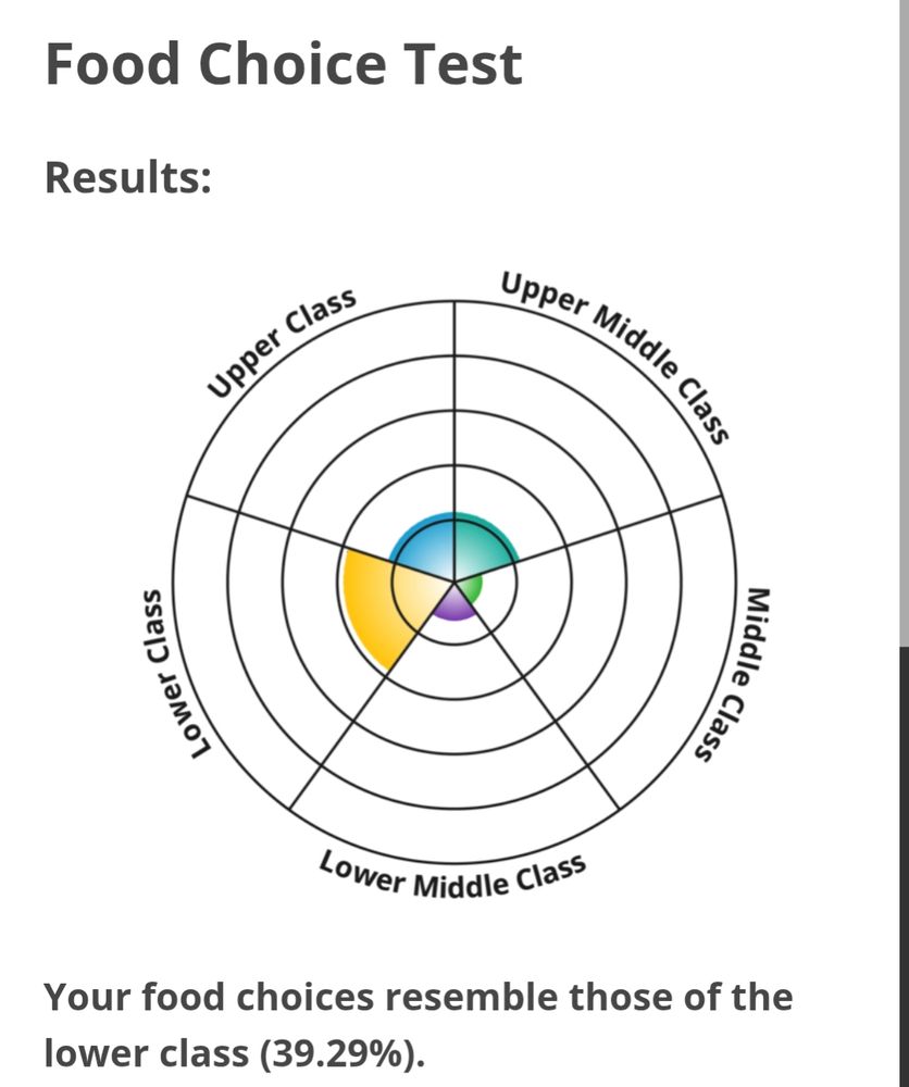Food preference chart with almost every section empty