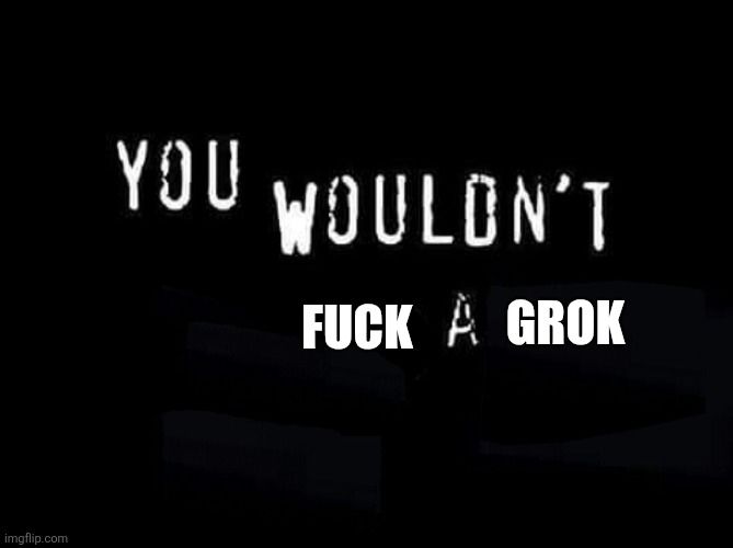 The 'you wouldn't blank a blank' meme saying 'you wouldn't fuck a grok'