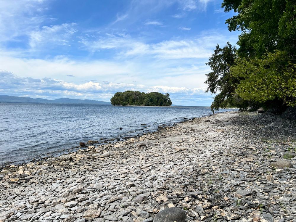 A rocky beach with a forested island and mountains in the background