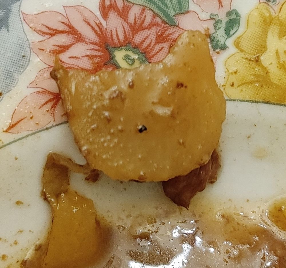 Slice of potato sitting at the side of a shallow bowl of stew. It is the shape of an almost symmetrical cat head, with two identical triangular ears. It is coated in stew broth, but there is exactly one flake of black pepper toward the center in exactly the place a nose would be.