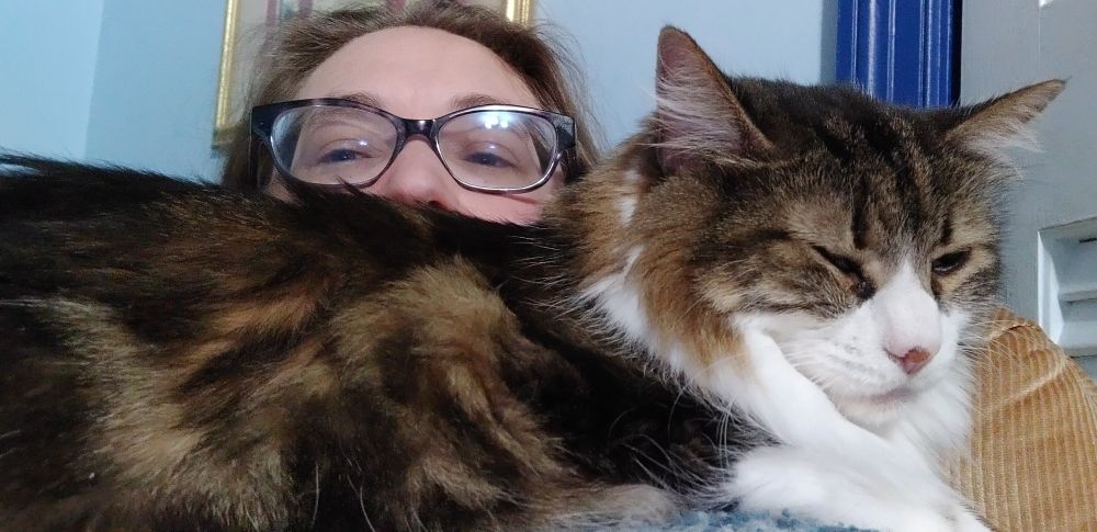 Cat laying across the upper chest of the photographer (awkward selfie)