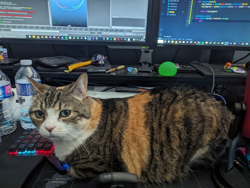A somewhat far cat sits between the two halves of a ZSA Moonlander split keyboard.