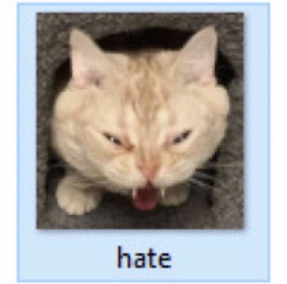 image of a cat hissing labelled "hate"