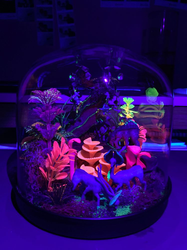 Diorama aux couleurs de la nature de Pandora, film Avatar, vue de face avec lumière noir et effets de bioluminescence 