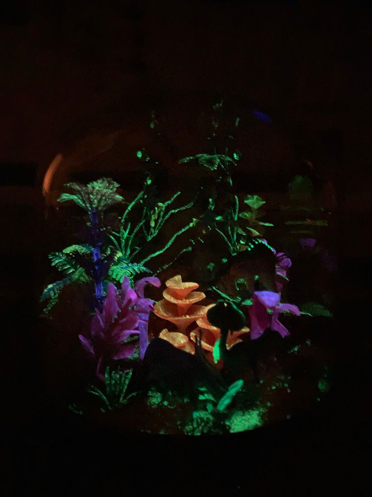 Diorama aux couleurs de la nature de Pandora, film Avatar, effet de bioluminescence uniquement 