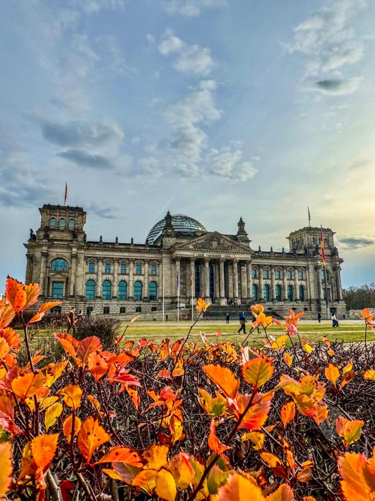 Reichstagsgebäude bei Sonnenschein, im Vordergrund orange-gelbe Herbstblätter