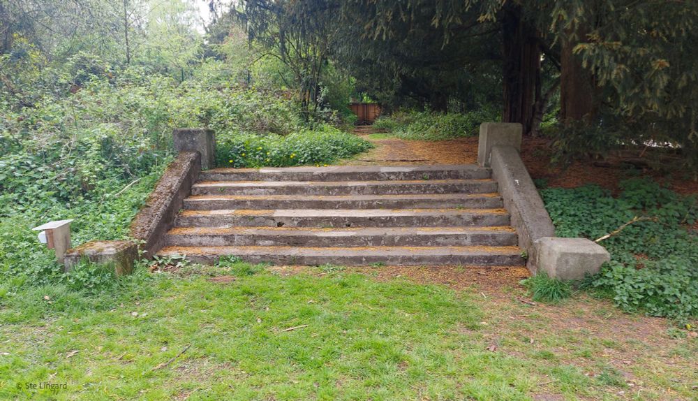 A short, wide staircase in some slightly overgrown parkland, relict from a former country house, now demolished.