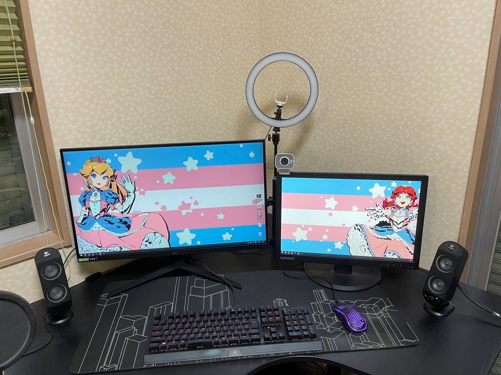 my dual monitors in the corner of the room with dueling princess wallpapers by datcravat 