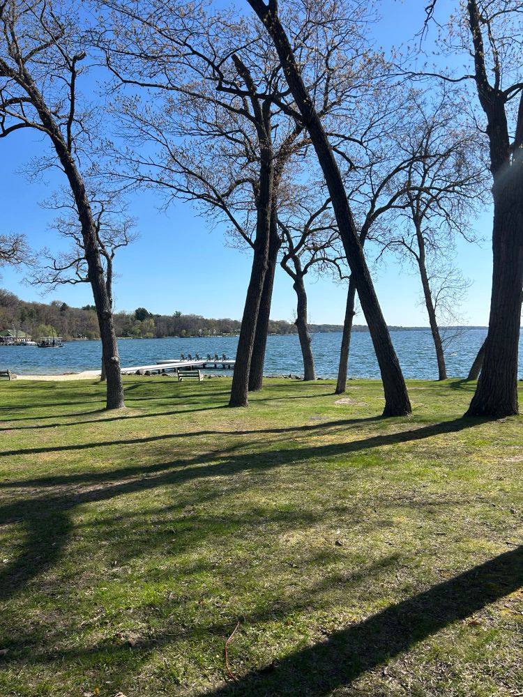 Sunny blue sky looking over grass, trees, and a blue lake