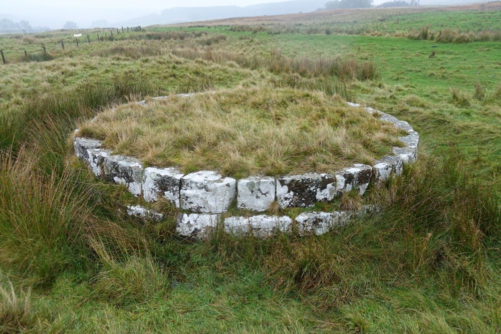 The foundations of a circular Roman mausoleum. Its stones are covered in lichen and there is grass growing out of the top.