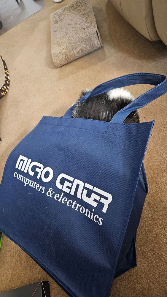 Jax the cat sticking most of his body into a microcenter bag